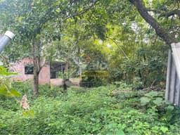 Finca de 32 manzanas en venta en Ojo de Agua, foto 6