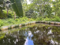 Finca de 32 manzanas en venta en Ojo de Agua, foto 5